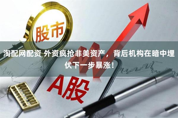 淘配网配资 外资疯抢非美资产，背后机构在暗中埋伏下一步暴涨！