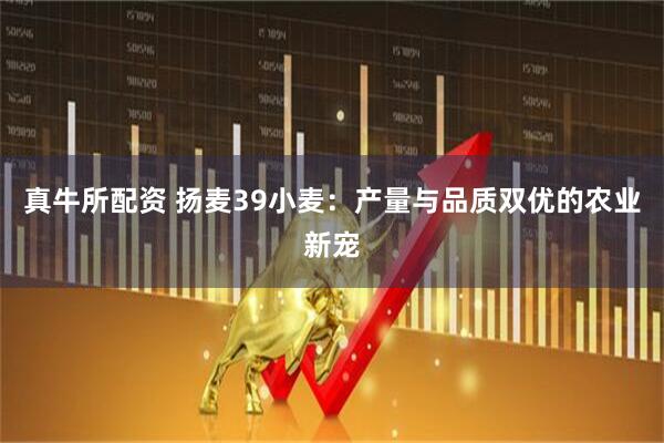 真牛所配资 扬麦39小麦：产量与品质双优的农业新宠