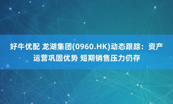 好牛优配 龙湖集团(0960.HK)动态跟踪：资产运营巩固优势 短期销售压力仍存