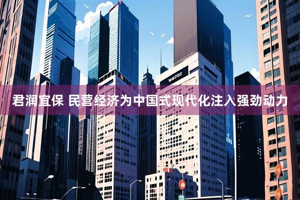 君润宜保 民营经济为中国式现代化注入强劲动力