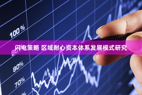 闪电策略 区域耐心资本体系发展模式研究
