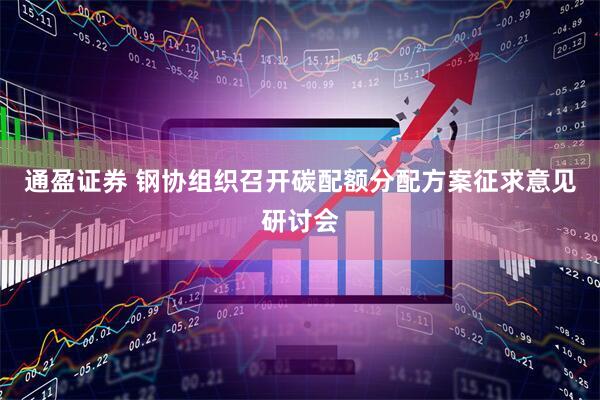 通盈证券 钢协组织召开碳配额分配方案征求意见研讨会