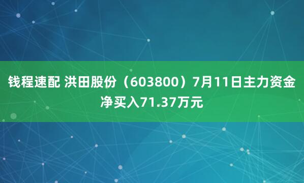 钱程速配 洪田股份（603800）7月11日主力资金净买入71.37万元