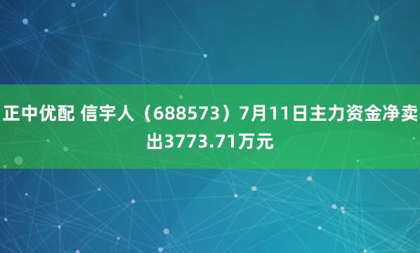 正中优配 信宇人（688573）7月11日主力资金净卖出3773.71万元