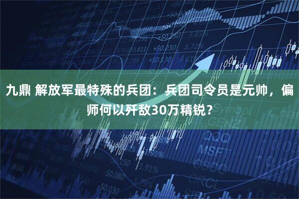 九鼎 解放军最特殊的兵团：兵团司令员是元帅，偏师何以歼敌30万精锐？