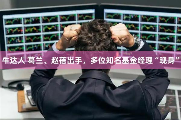 牛达人 葛兰、赵蓓出手，多位知名基金经理“现身”