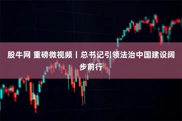 股牛网 重磅微视频丨总书记引领法治中国建设阔步前行