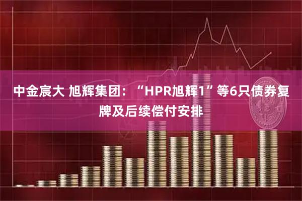 中金宸大 旭辉集团：“HPR旭辉1”等6只债券复牌及后续偿付安排