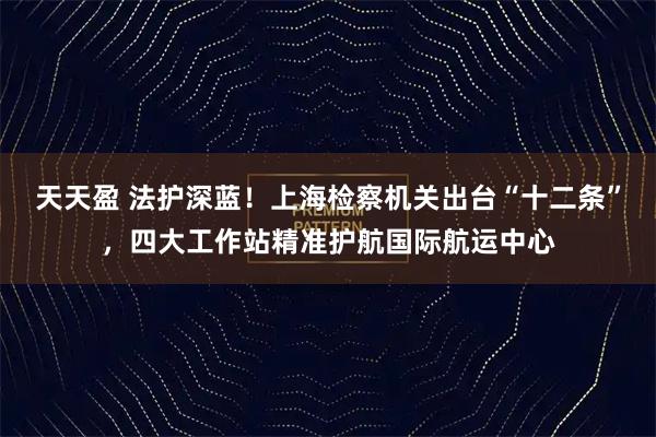 天天盈 法护深蓝！上海检察机关出台“十二条”，四大工作站精准护航国际航运中心