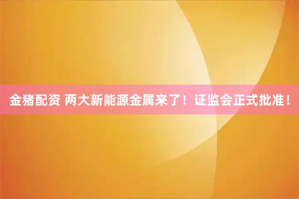 金猪配资 两大新能源金属来了!证监会正式批准!